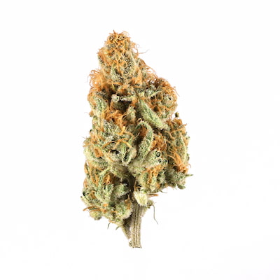 Vision Cookies > Vision Seeds | Feminized Marijuana   |  Indica